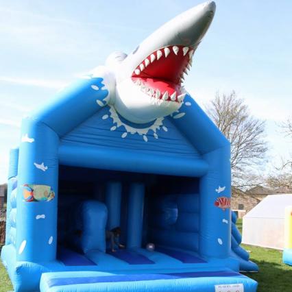Requin