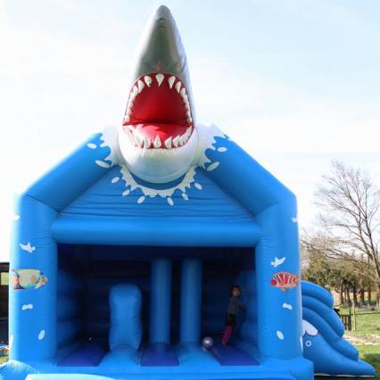 Requin
